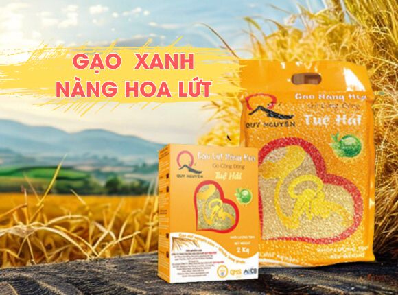 GIỚI THIỆU VỀ SẢN PHẨM GẠO XANH NÀNG HOA LỨT